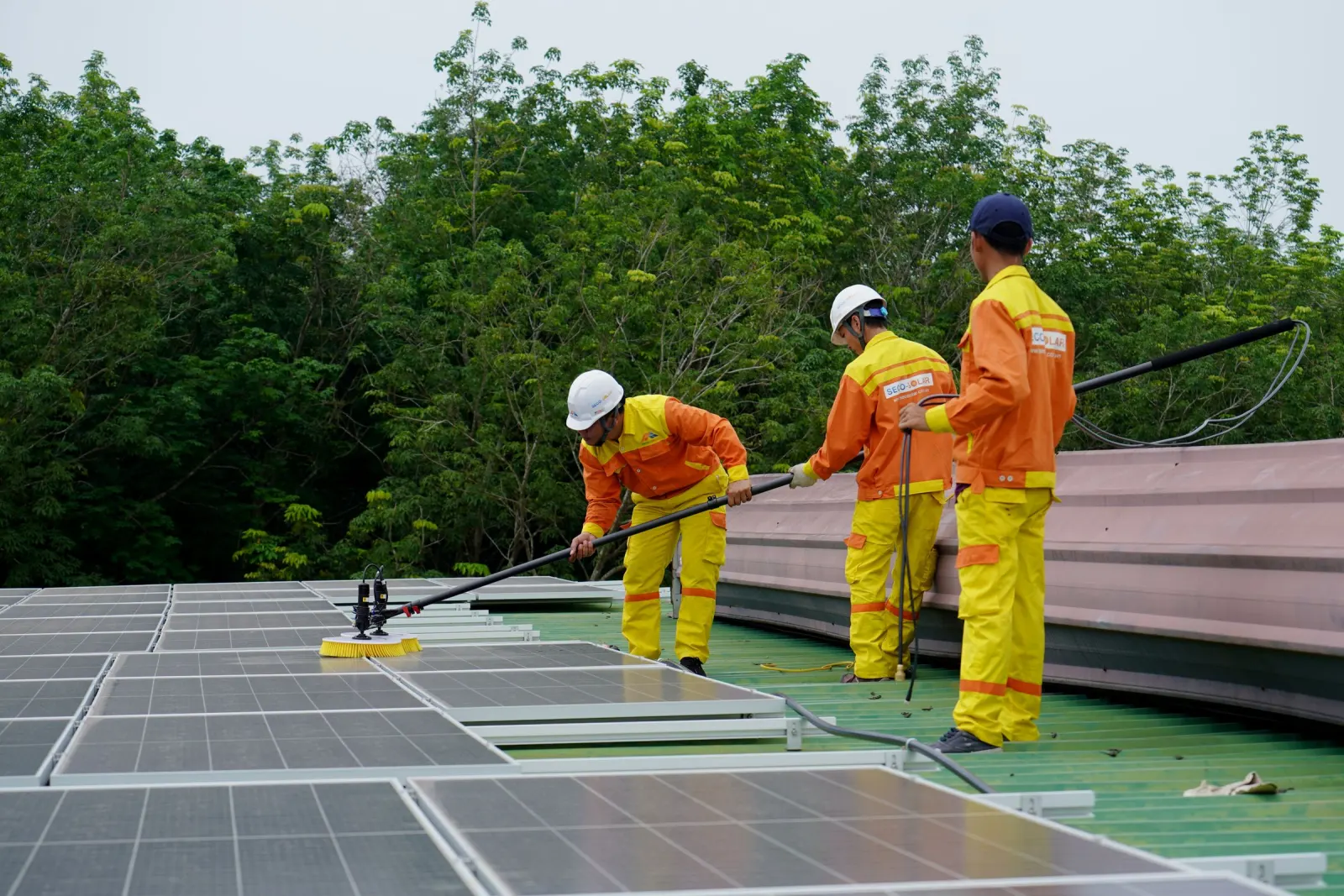Técnicos limpiando paneles solares en un techo